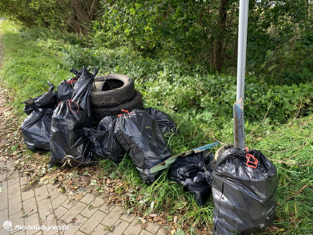 Sprzątanie jeziora Łapalickiego