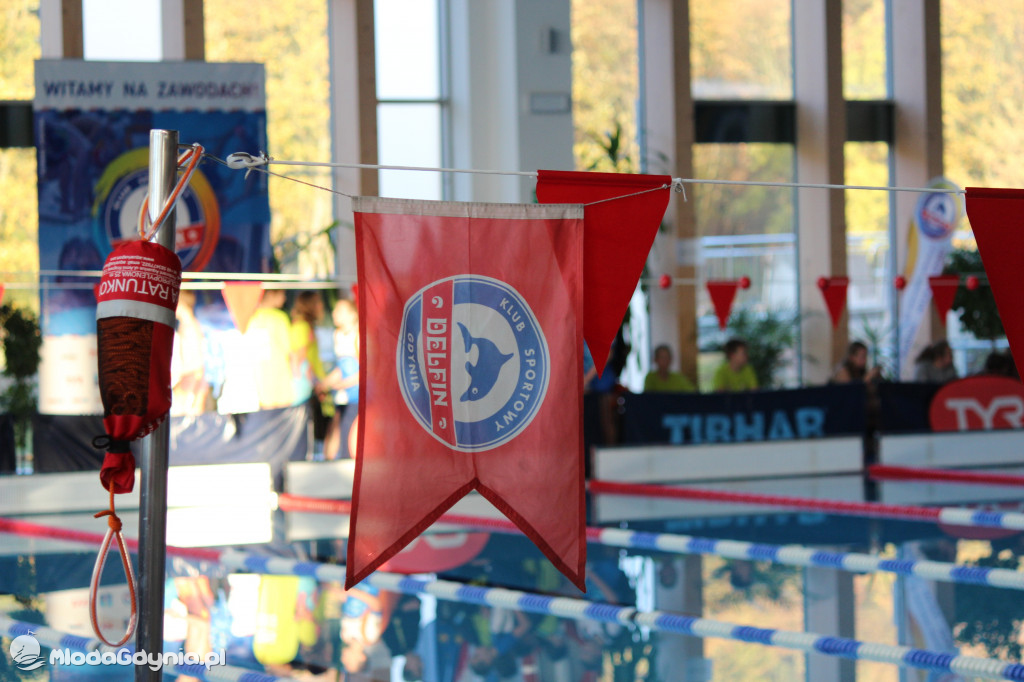 Gdyńskie Delfinarium 2021 (I)