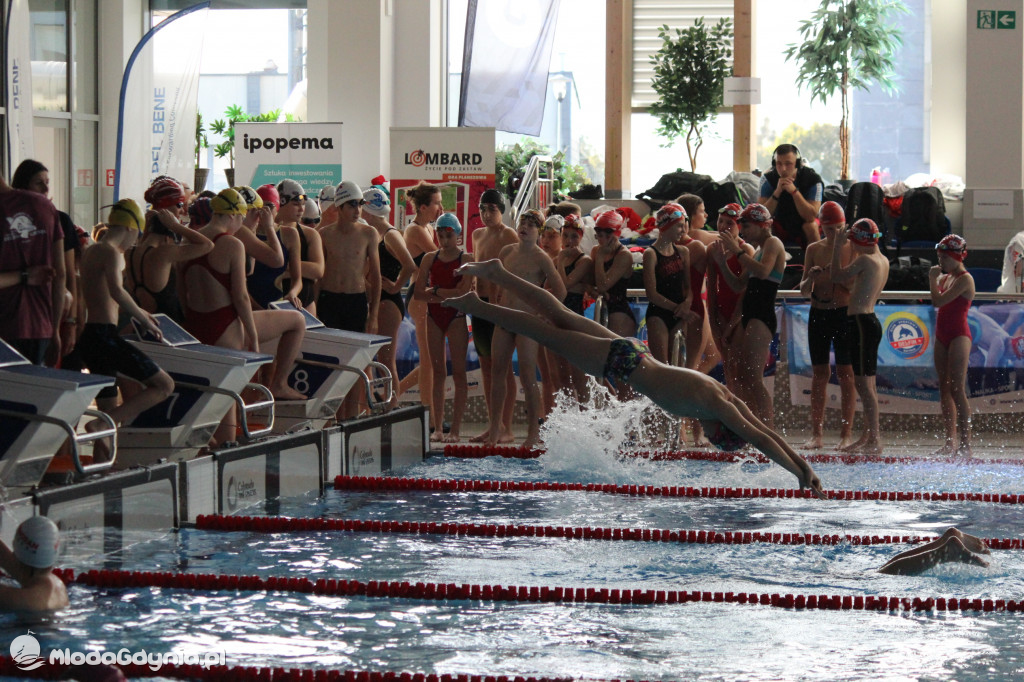 Gdyńskie Delfinarium 2021 (I)