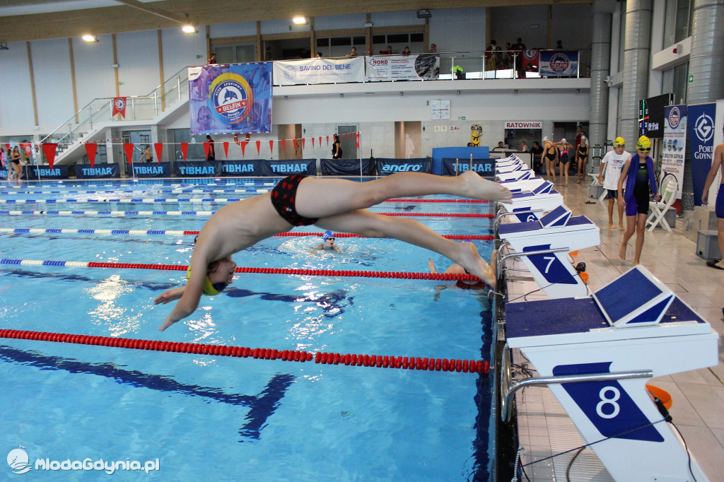 Gdyńskie Delfinarium 2021 (I)