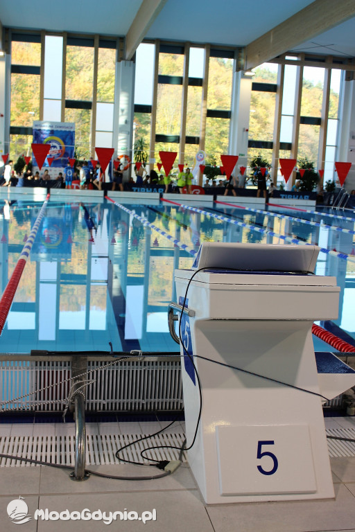 Gdyńskie Delfinarium 2021 (I)