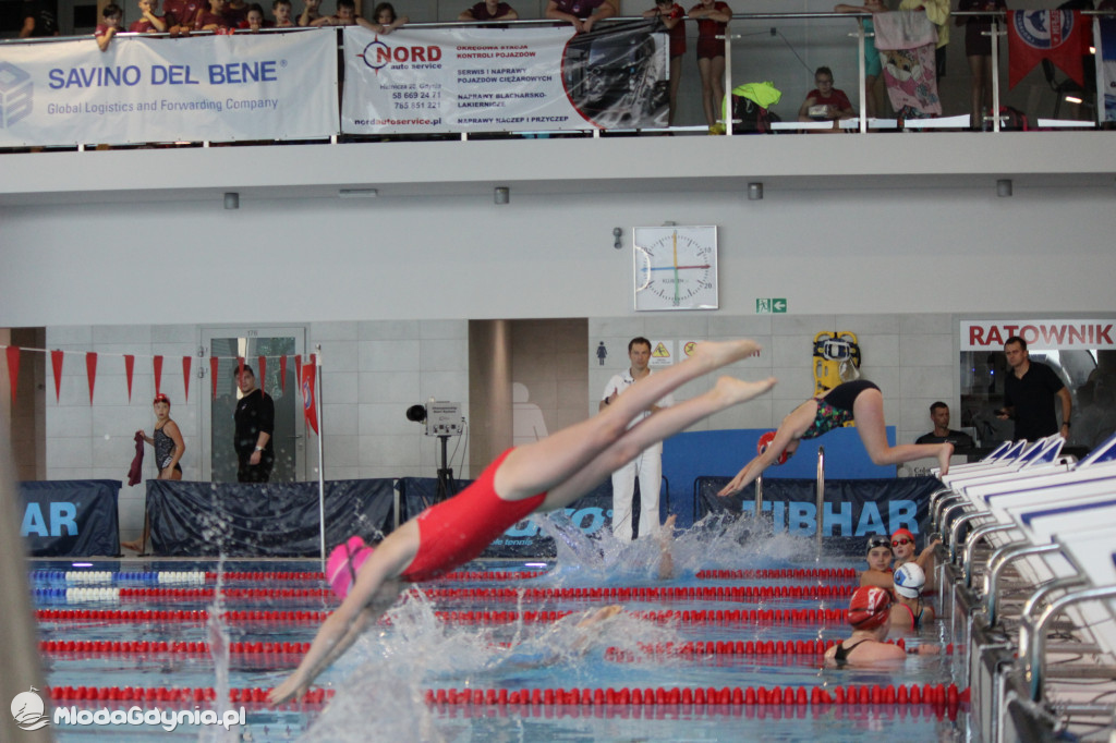 Gdyńskie Delfinarium 2021 (I)