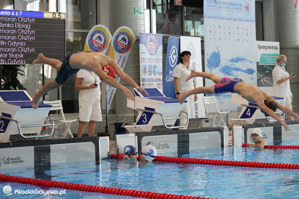 Gdyńskie Delfinarium 2021 (I)