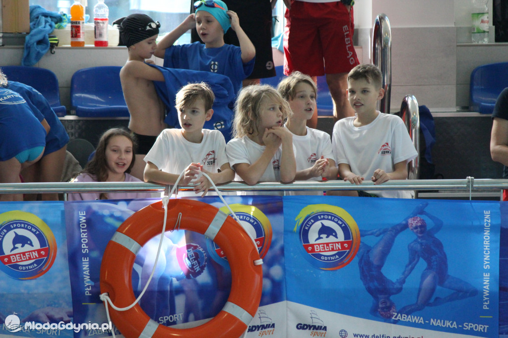 Gdyńskie Delfinarium 2021 (I)