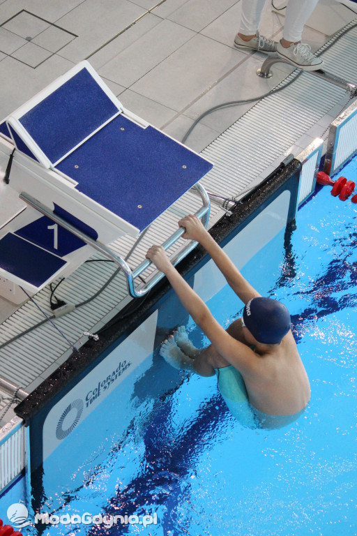 Gdyńskie Delfinarium 2021 (I)