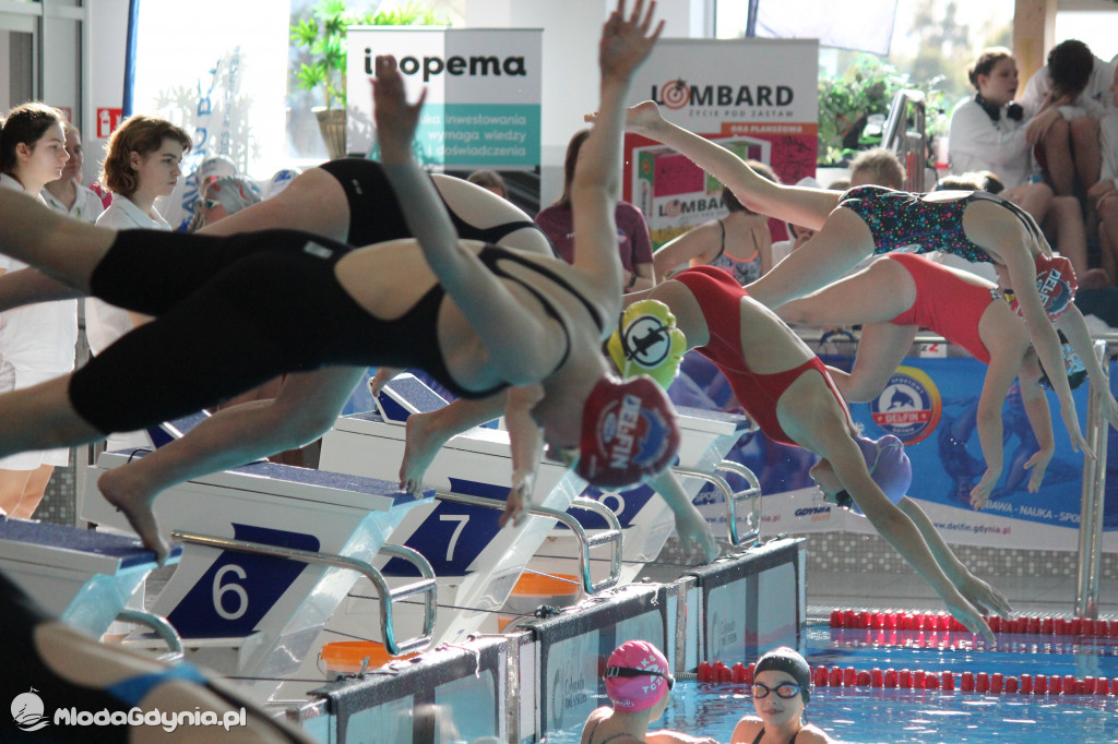Gdyńskie Delfinarium 2021 (I)