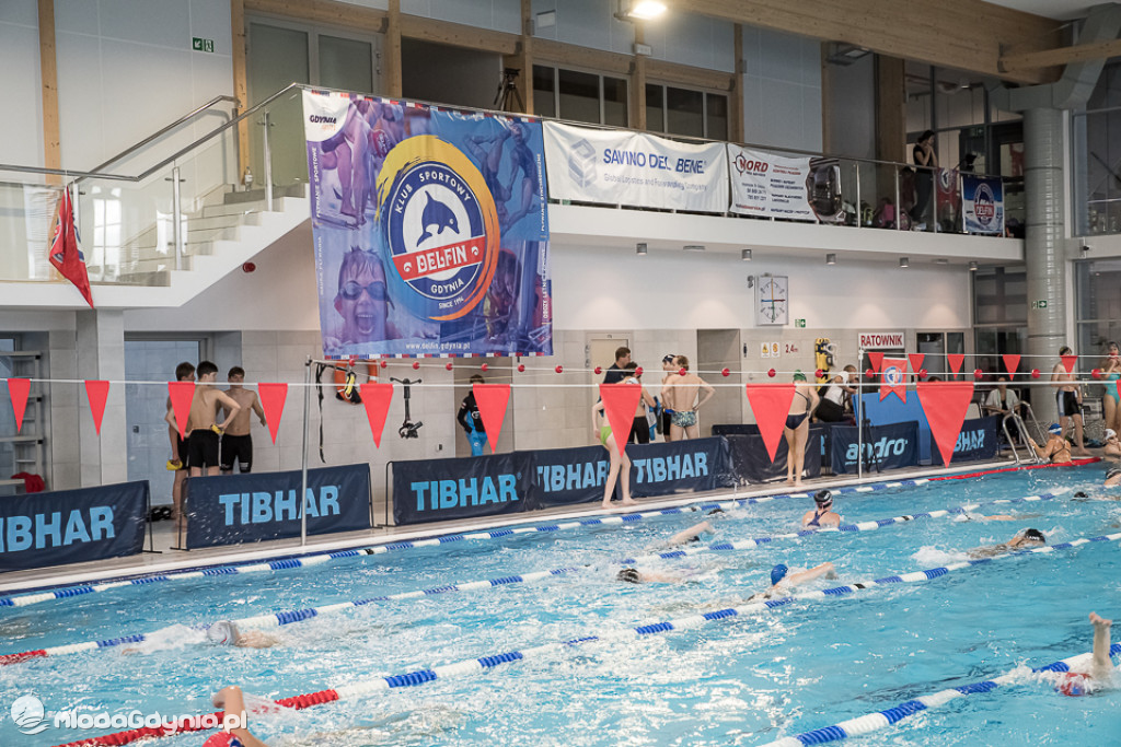 Gdyńskie Delfinarium 2021 (II)