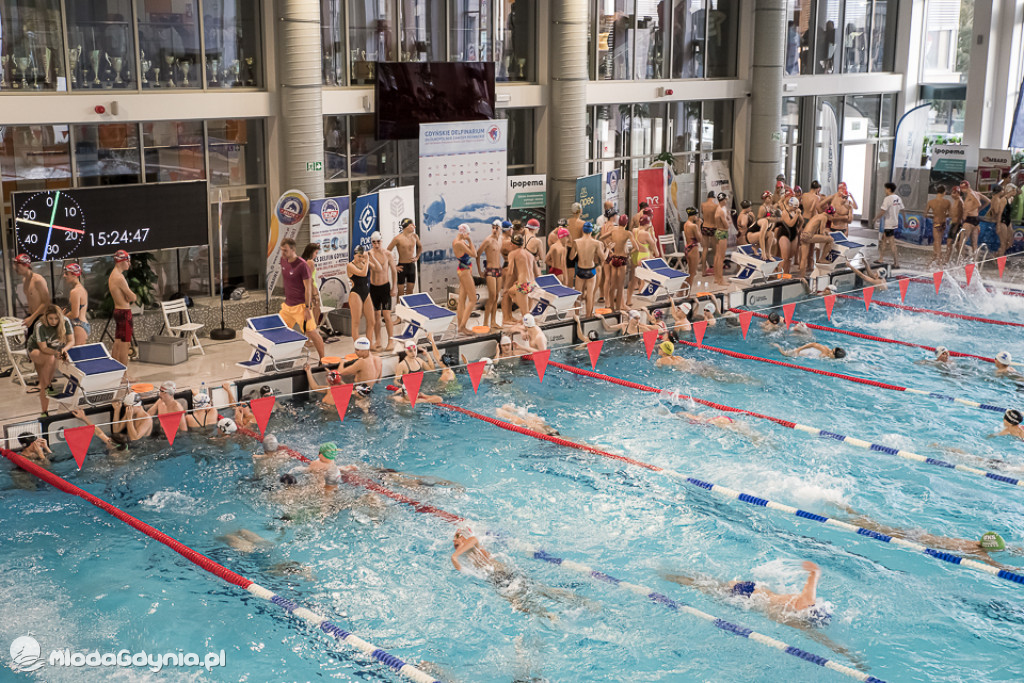 Gdyńskie Delfinarium 2021 (II)