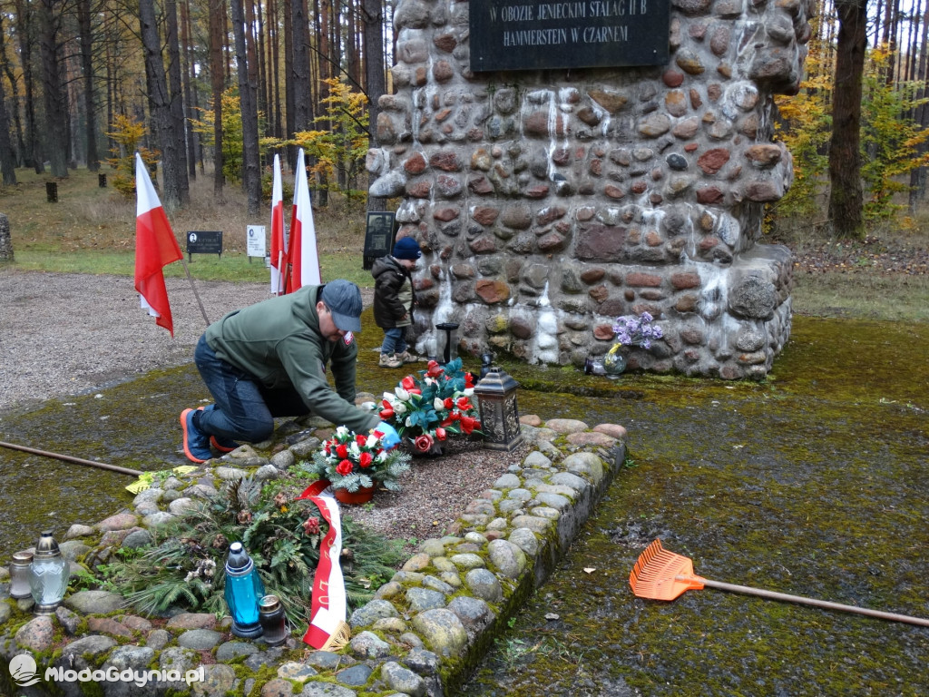 Stalag II B Hammerstein - porządki przed 1 listopada 2021