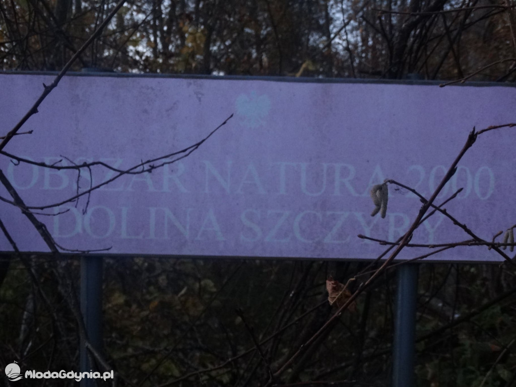 Harcerze posprzątali groby w Prądach