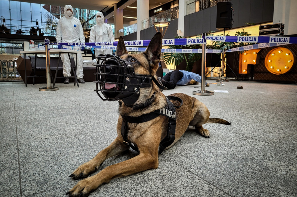 Policja Pomorska - jak przestrzegać zasad bezpieczeństwa w dobie pandemii