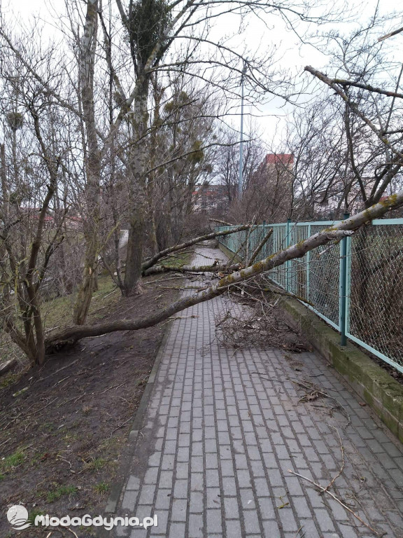 Przeszedł orkan. Nadia w Gdyni i na Pomorzu