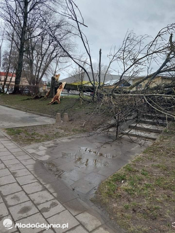 Przeszedł orkan. Nadia w Gdyni i na Pomorzu