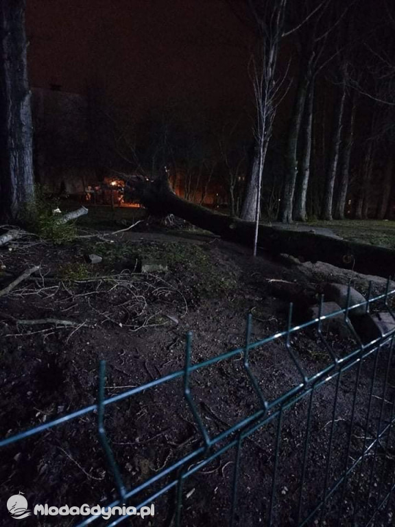 Przeszedł orkan. Nadia w Gdyni i na Pomorzu