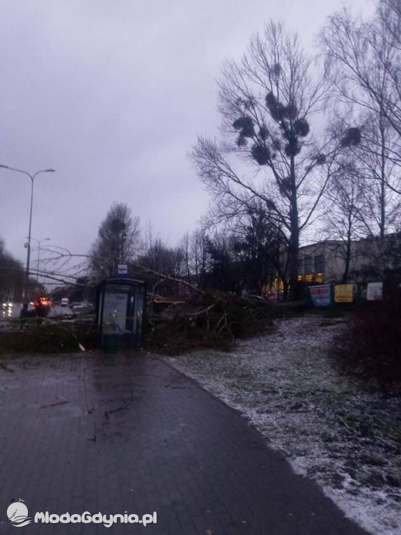 Przeszedł orkan. Nadia w Gdyni i na Pomorzu