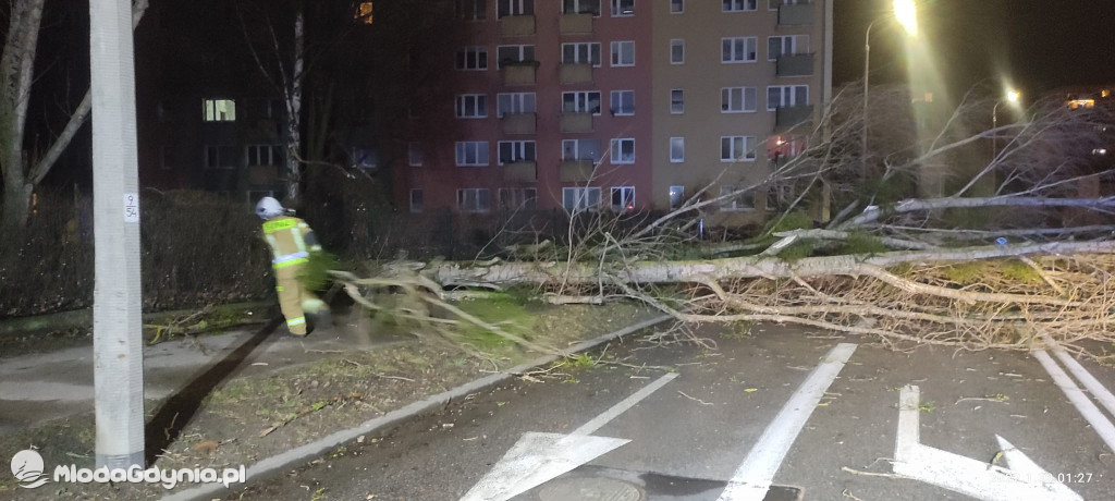 Przeszedł orkan. Nadia w Gdyni i na Pomorzu