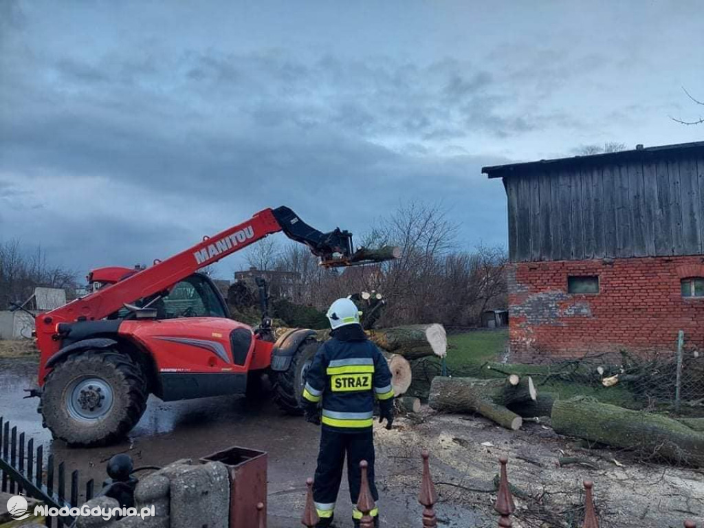 Przeszedł orkan. Nadia w Gdyni i na Pomorzu