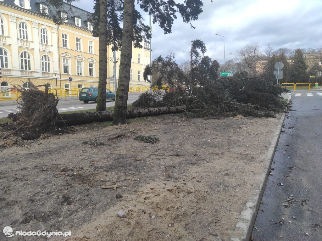 Przeszedł orkan. Nadia w Gdyni i na Pomorzu