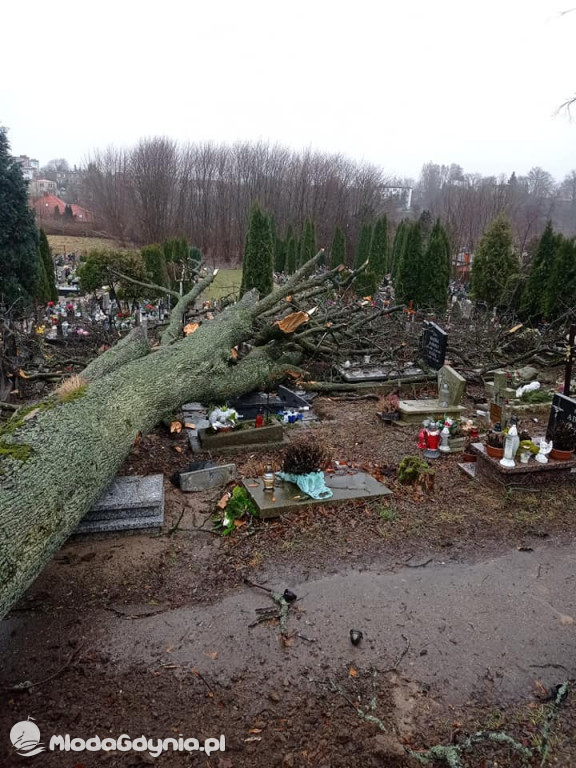 Przeszedł orkan. Nadia w Gdyni i na Pomorzu