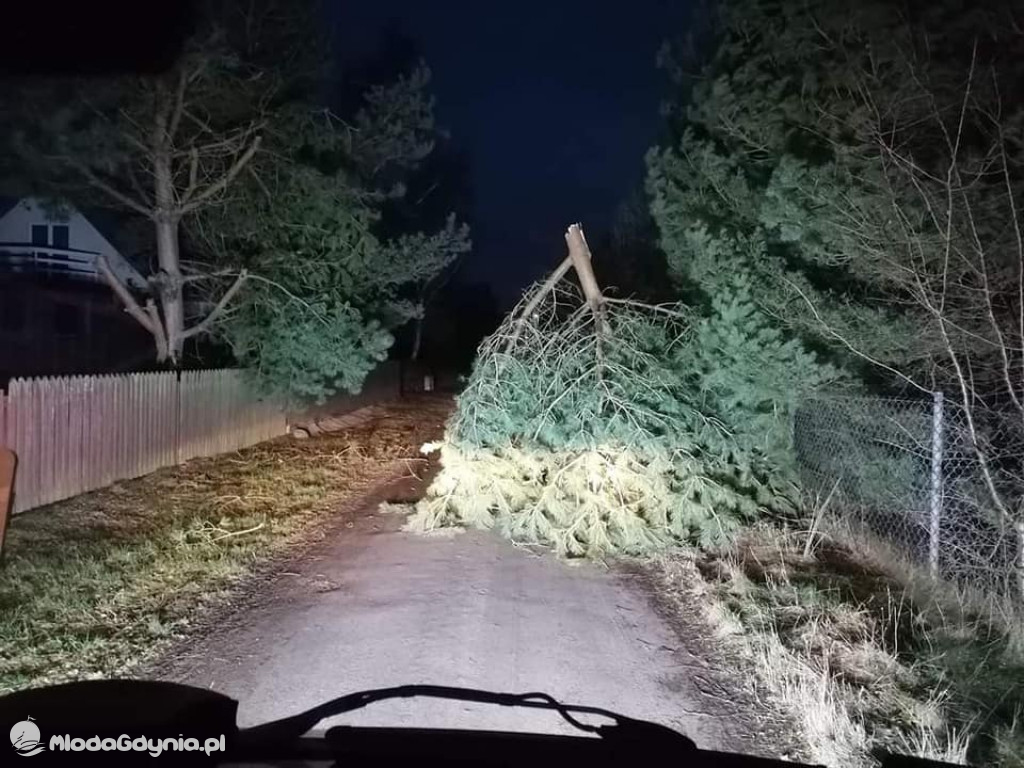 Przeszedł orkan. Nadia w Gdyni i na Pomorzu