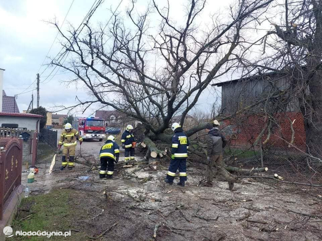 Przeszedł orkan. Nadia w Gdyni i na Pomorzu