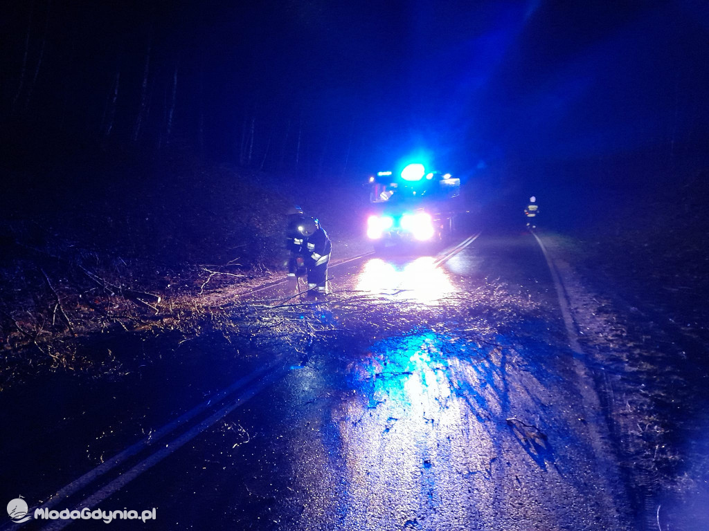 Przeszedł orkan. Nadia w Gdyni i na Pomorzu