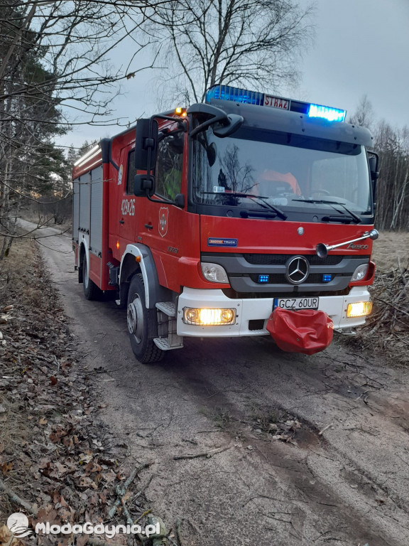 Przeszedł orkan. Nadia w Gdyni i na Pomorzu