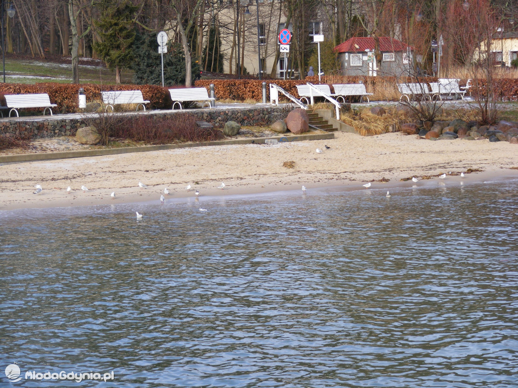 Plaży w Orłowie brak