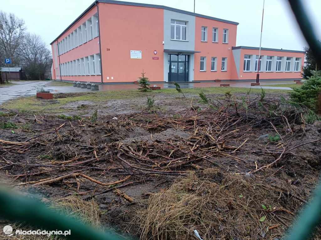 Wycięte tuje przd SP w Wyczechach