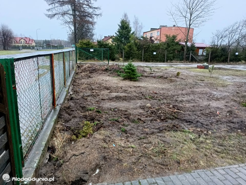 Wycięte tuje przd SP w Wyczechach