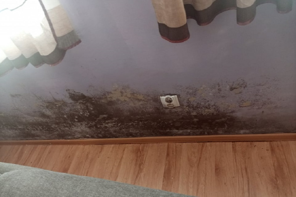 Grzyb w mieszkaniach w bloku przy Sienkiewicza w Lęborku