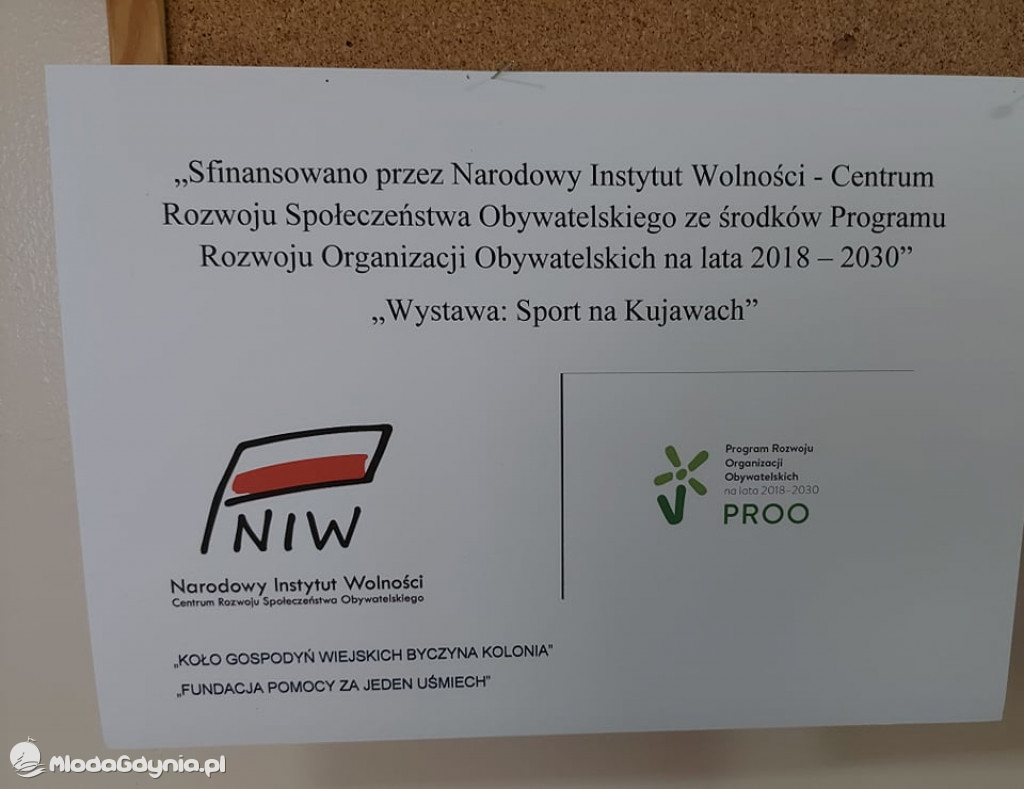 Fundacji pomocy za jeden  uśmiech  - projekt z PROO