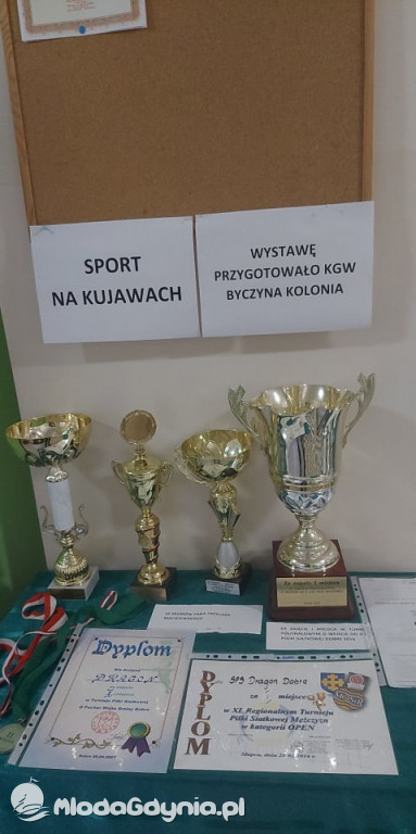 Fundacji pomocy za jeden  uśmiech  - projekt z PROO