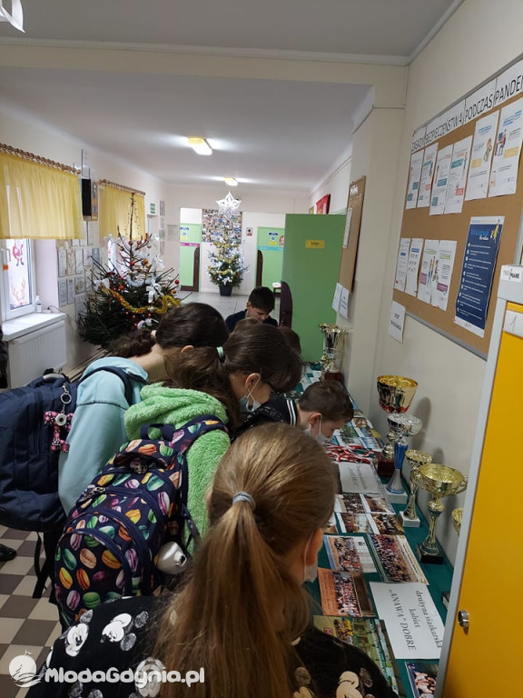 Fundacji pomocy za jeden  uśmiech  - projekt z PROO