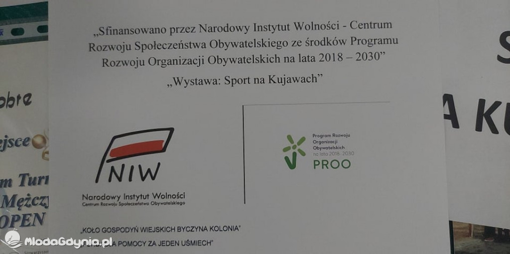 Fundacji pomocy za jeden  uśmiech  - projekt z PROO