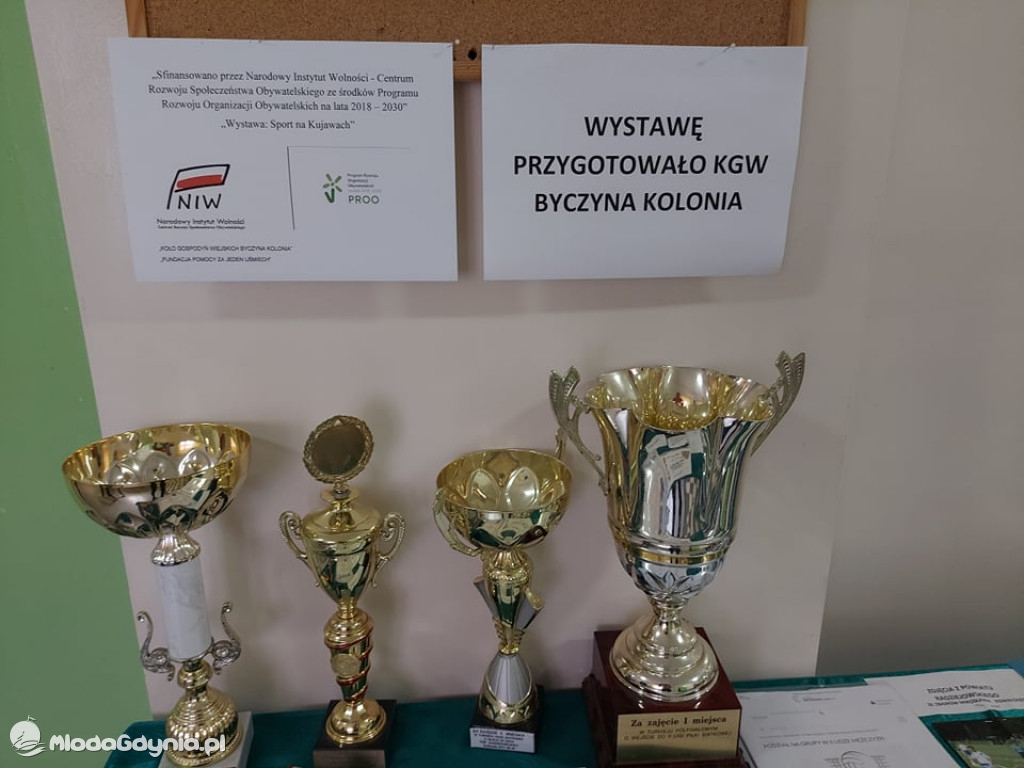 Fundacji pomocy za jeden  uśmiech  - projekt z PROO