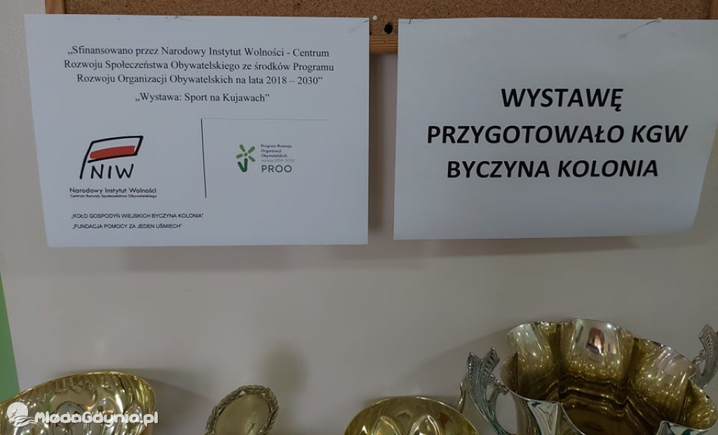 Fundacji pomocy za jeden  uśmiech  - projekt z PROO