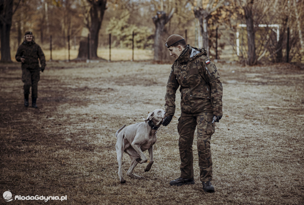 Pomorscy terytorialsi wykonali kolejny krok w  budowie  zdolności  K-9