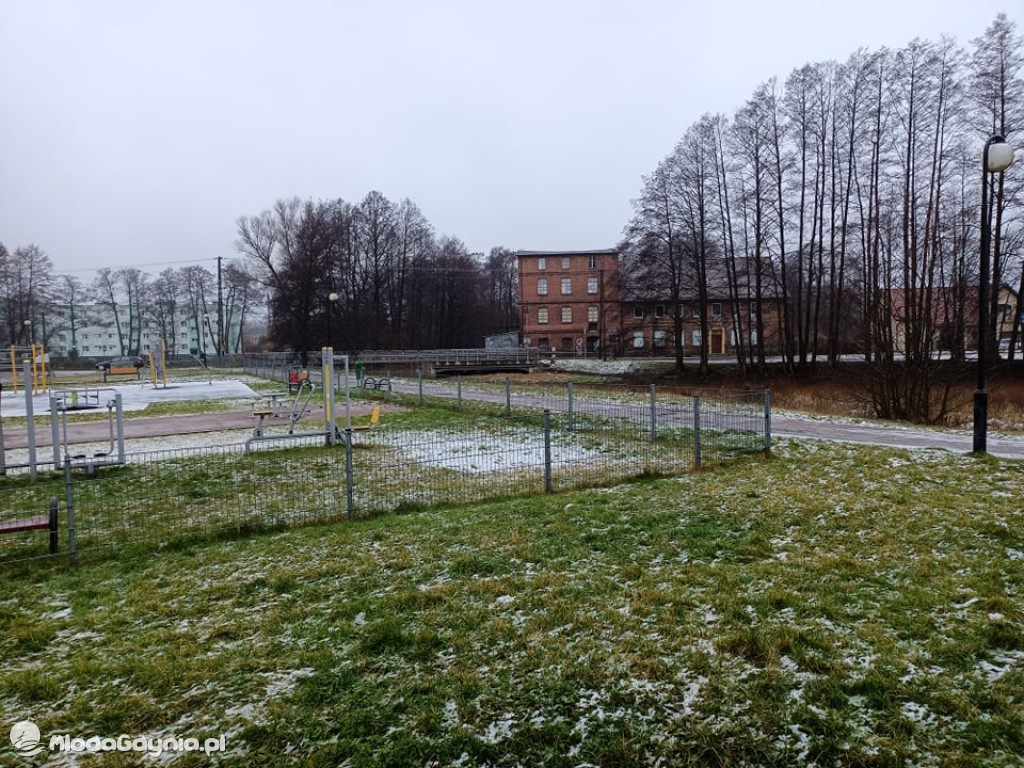 Czarne - wycinka drzew