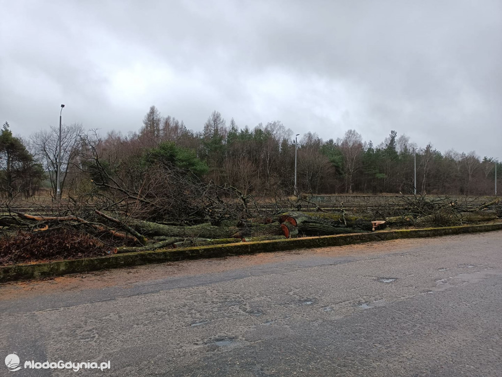 Czarne - wycinka drzew