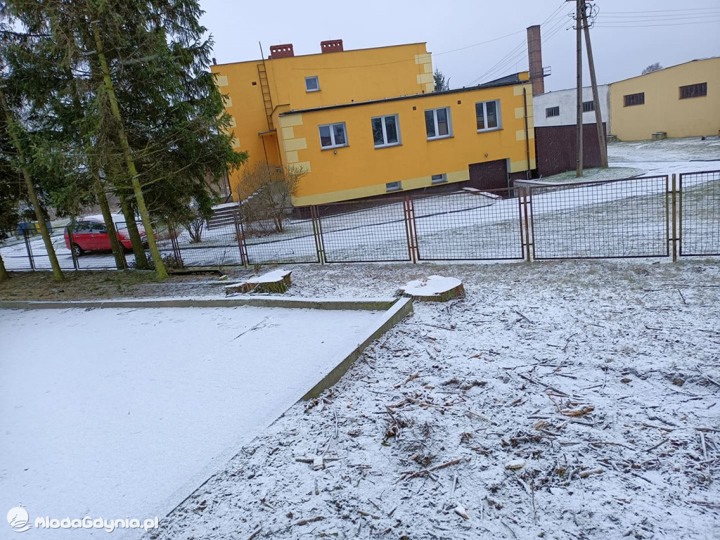 Czarne - wycinka drzew