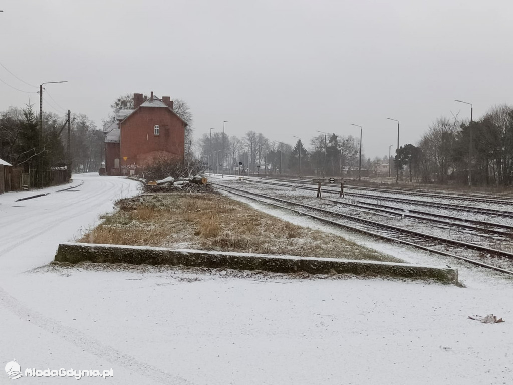 Czarne - wycinka drzew