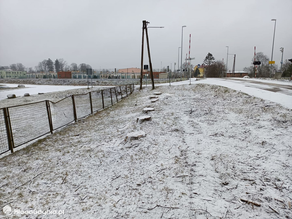 Czarne - wycinka drzew