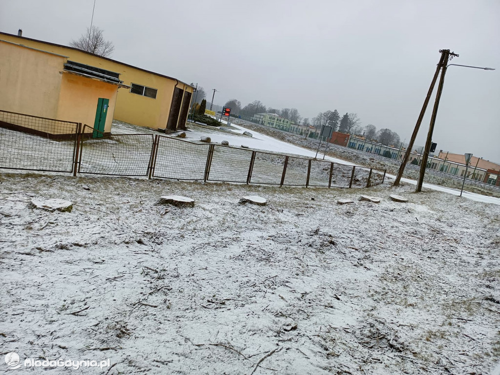 Czarne - wycinka drzew