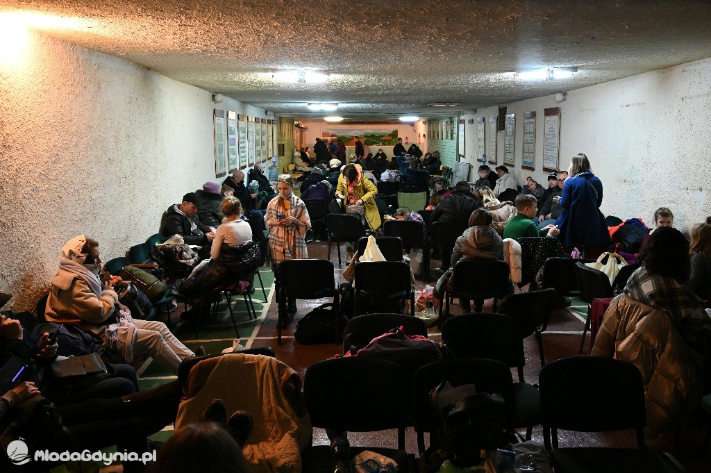 Unikalne zdjęcia z Ukrainy. Zobacz jak wygląda ta wojna!