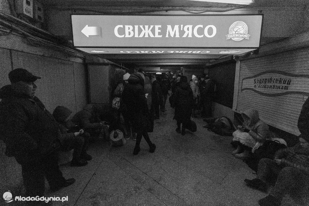 Unikalne zdjęcia z Ukrainy. Zobacz jak wygląda ta wojna!