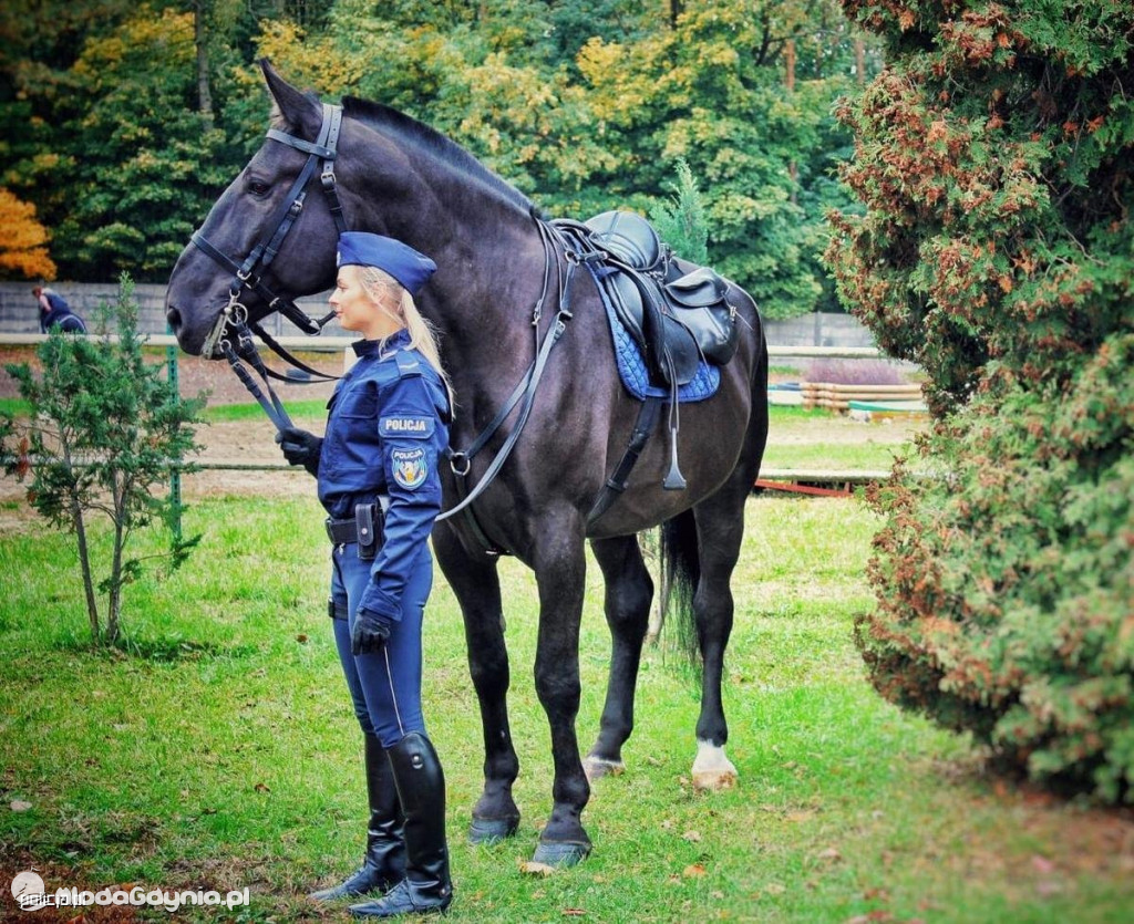 Wsparcie dla zwierząt służbowych wycofanych z pracy w Policji
