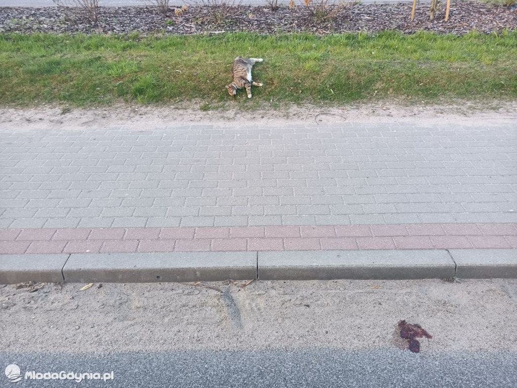 Bałagan po zimie w Czarnem
