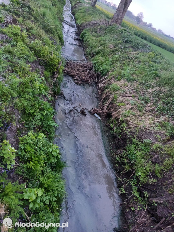 Ścieki z oczyszczalni w Wyczechach dalej płyną na pole