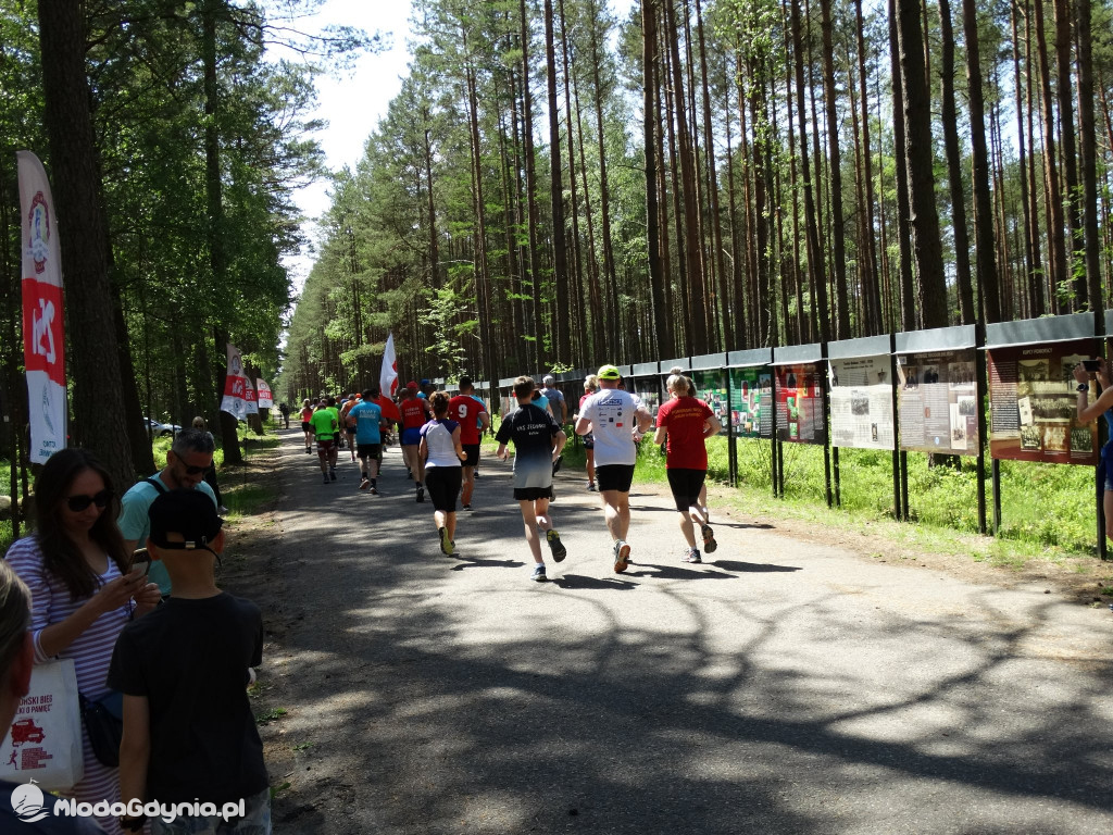 II Pomorski Bieg Walki o Pamięć - Lasy Piaśnickie 11.06.2022